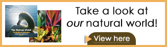 Take a look at our natural world