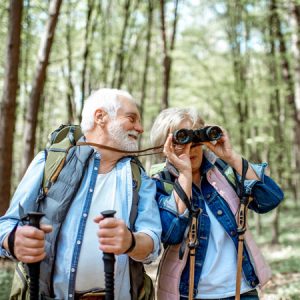 6 Summertime Day Trips from Lakeland, Florida